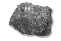 M 02461
<br/>
<br/>
<em></em>